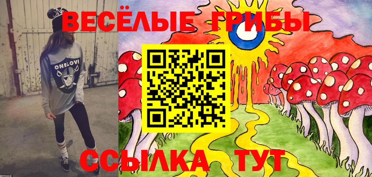 Псилоцибиновые грибы MAGIC MUSHROOMS  Вход с VPN  Большой Камень 