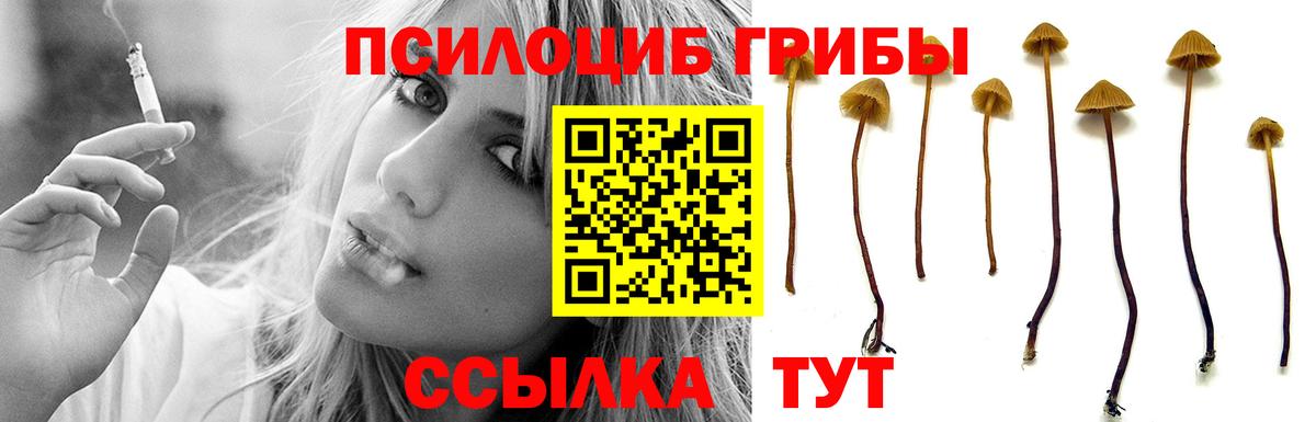 Псилоцибиновые грибы GOLDEN TEACHER Большой Камень